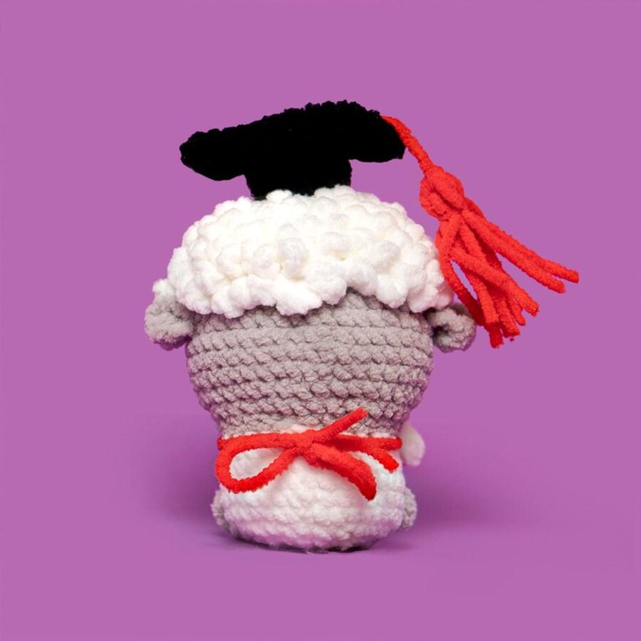 Commemorative Graduation Animals Crochet Kit - Image 13